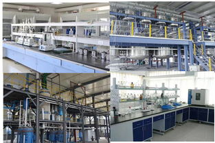 高效管理，助力成長——歡迎探索企業管理咨詢的專業價值