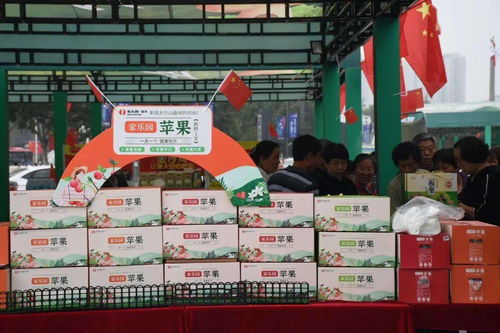 邢臺農(nóng)特產(chǎn)品熱銷，正餐服務助推地方經(jīng)濟