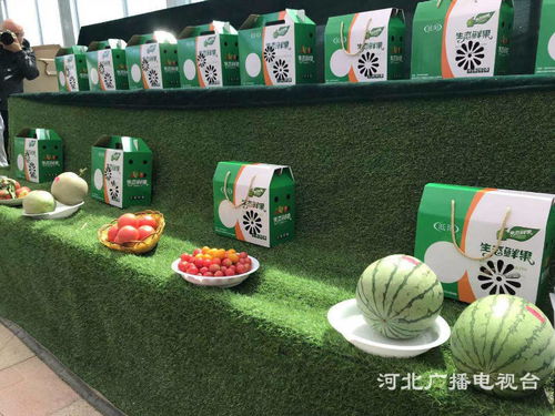 探訪邢臺臨城的生態(tài)發(fā)展之路與正餐服務融合